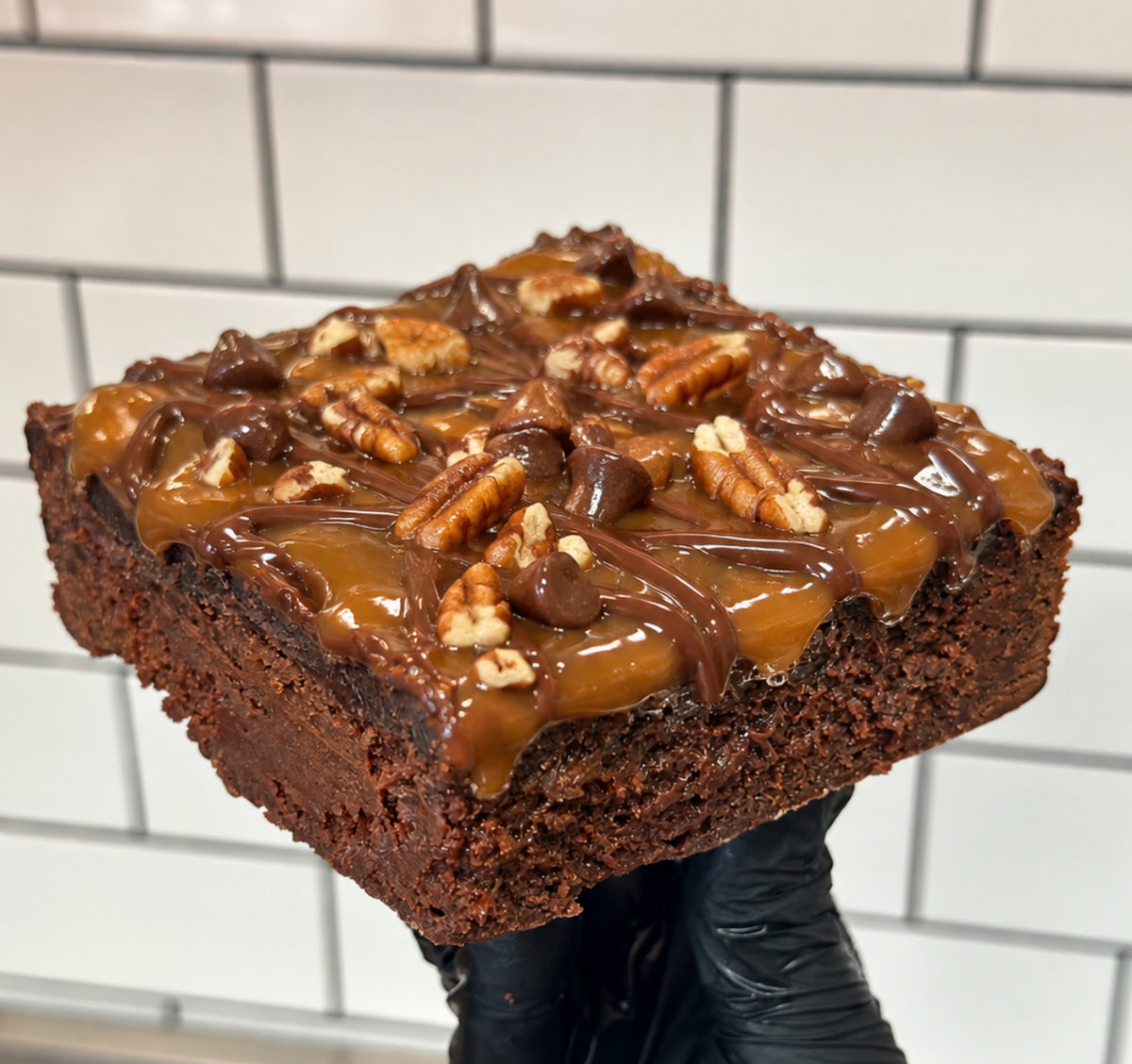 XL Turtle Brownie