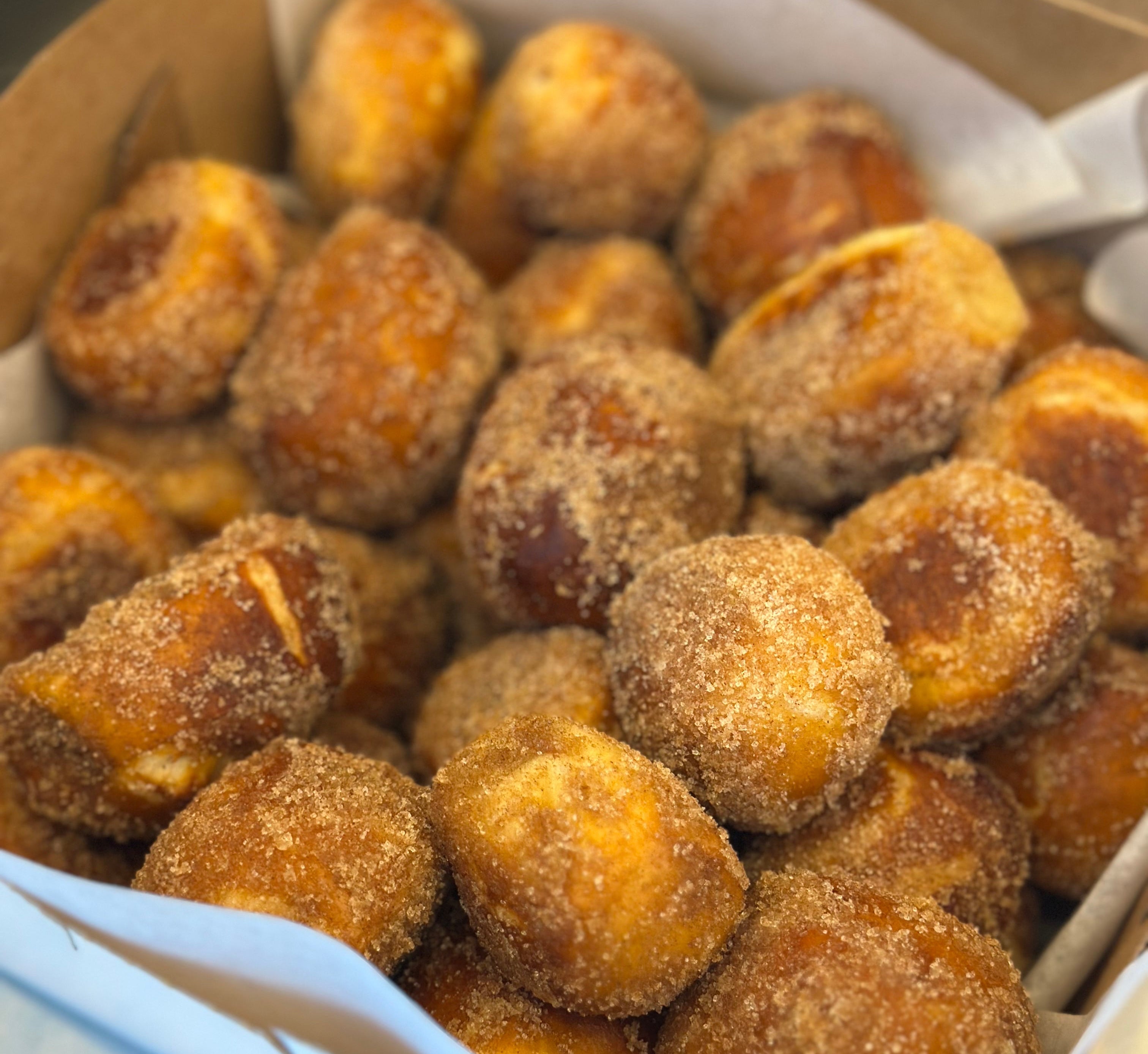 Cinnamon Sugar Pretzel Bites